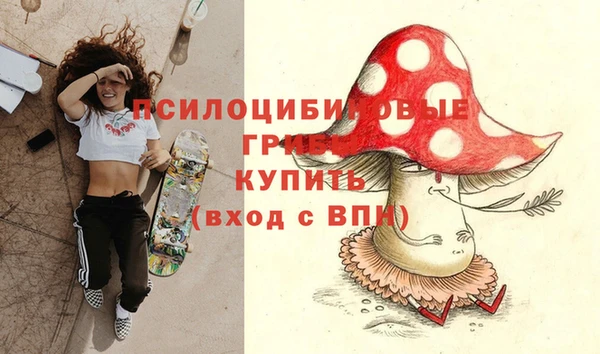 твердый Балахна