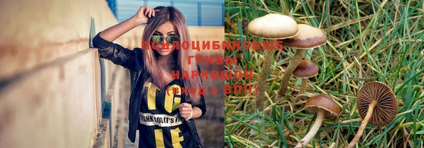 твердый Балахна