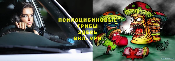 дмт Армянск